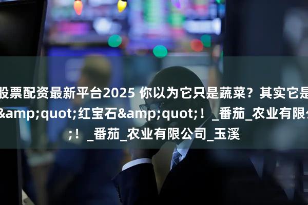 股票配资最新平台2025 你以为它只是蔬菜？其实它是餐桌上的"红宝石"！_番茄_农业有限公司_玉溪