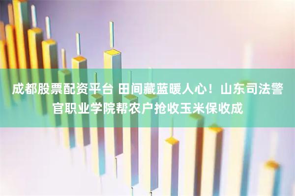 成都股票配资平台 田间藏蓝暖人心！山东司法警官职业学院帮农户抢收玉米保收成